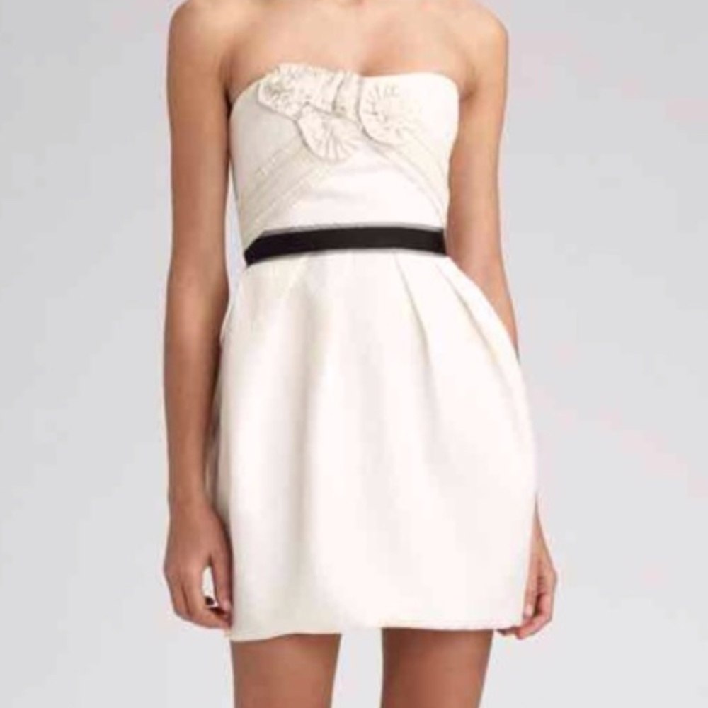 Gorgeous Strapless BCBGMaxAzria Dress (size 4)